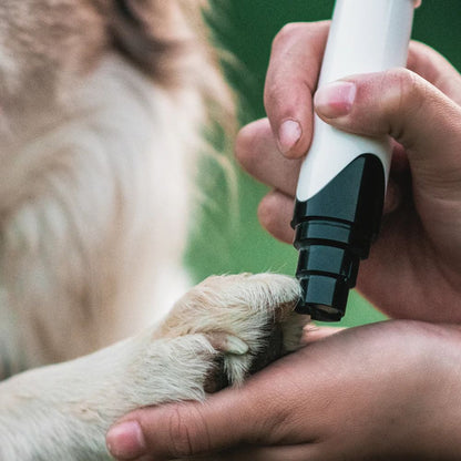 No More Scary Nail Trims – Quiet Pet Nail Grinder